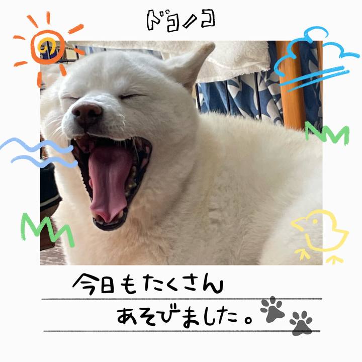 Ff8c1c83 2a45 416f bd76 8837746c4e0f 1755177388842