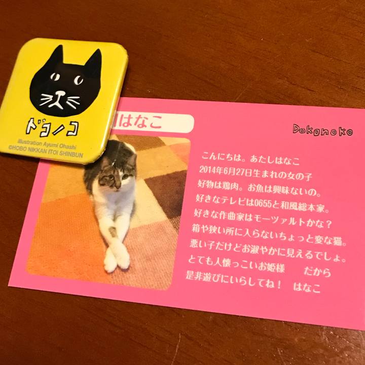 Ff8c1db3 4ea4 4f3f abe7 a00285bd69f0 1521633784938