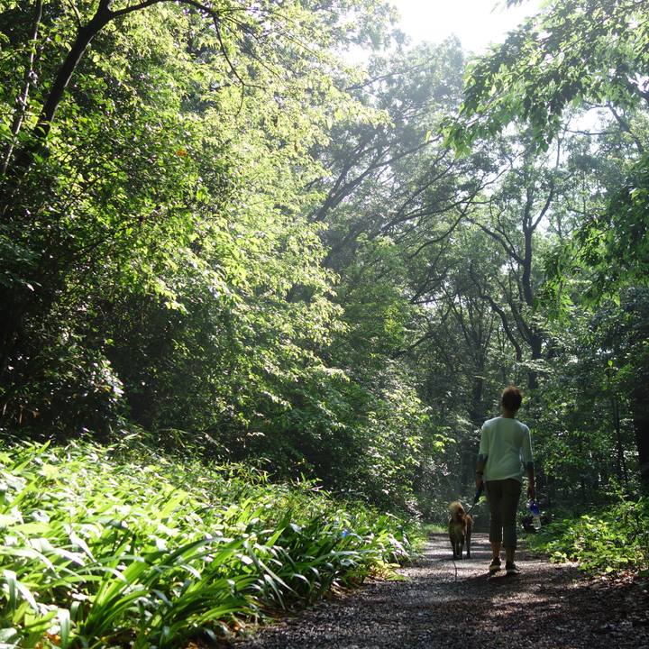 Ff8c2df7 0736 4c63 bfc0 d40d34da35a3 1526260420092