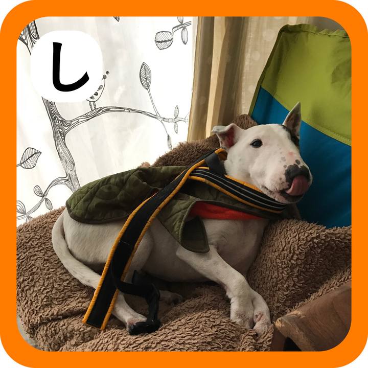 Ff8c399b bfc7 4a14 86f1 3bfa66d4469f 1514810536118