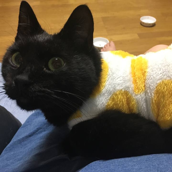 Ff8c59df ff10 4112 8655 f284a2bf8c10 1539606394692