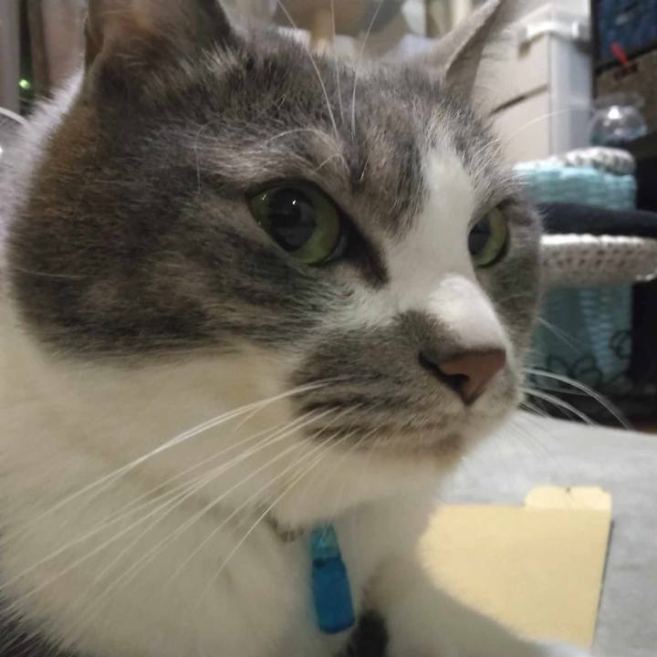 Ff8c5efc 3a6a 4327 a908 0fa9eb814bbd 1713874732294