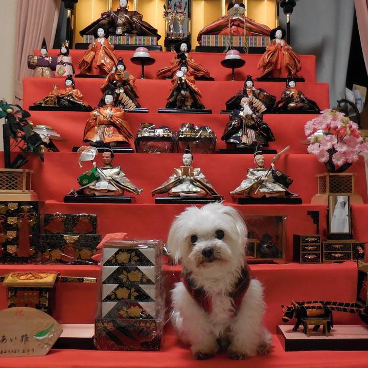 Ff8c722d edf2 428d bac3 72ca96d22dd0 1677854930089