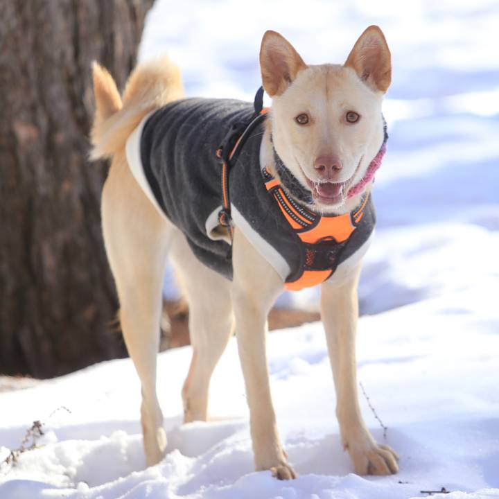 Ff8c935b d446 4d37 9d9d be4cb84bc37c 1515994358766