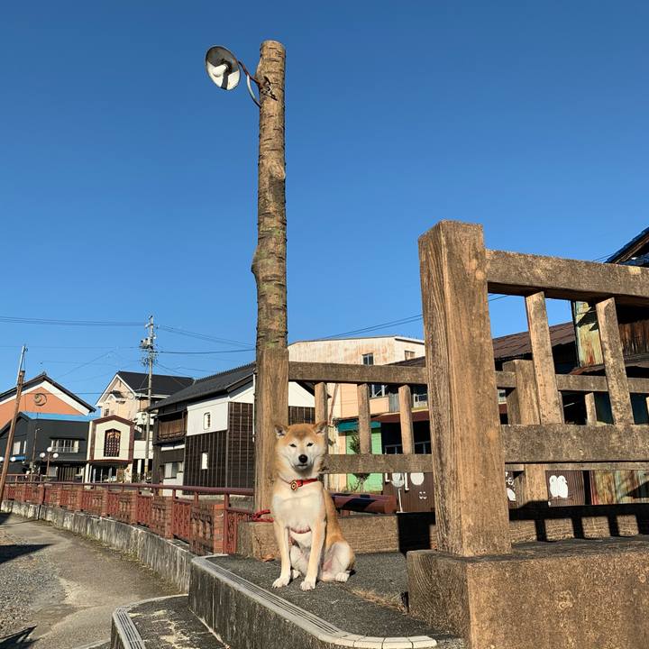 Ff8cb80d df4e 44a1 b8fc c0bb0daaa101 1606992367785