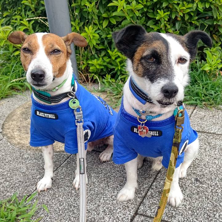 Ff8ccdbe dad3 4409 9051 5e25f6239c5f 1688078641420