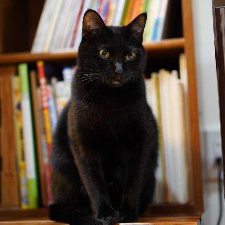 Ff8cf5bd eb0d 47f5 adb1 338a129f3ac3 1574035517296