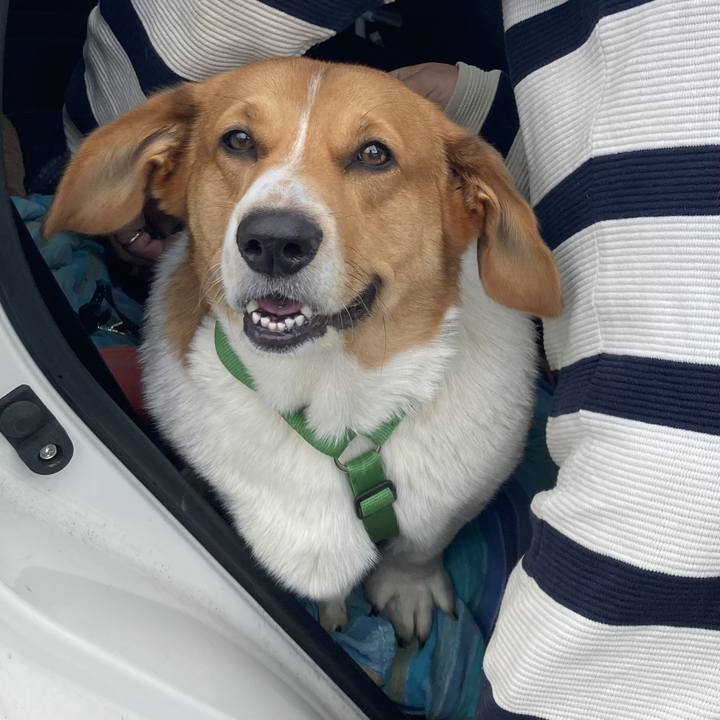 Ff8d1d1a 2b07 4e46 9036 d71101b5fd87 1697352772476