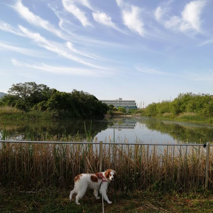 Ff8d2e8d d44a 4b67 895f c7f8601a49de 1589241404426