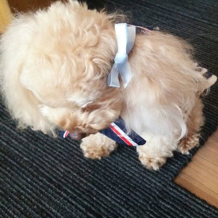 Ff8d3084 e62f 483d 9283 e0cddd254f66 1520325662510