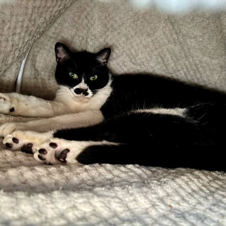 Ff8d31bc 9e88 40c3 b3d5 d2f0cd69e1f6 1745830563538