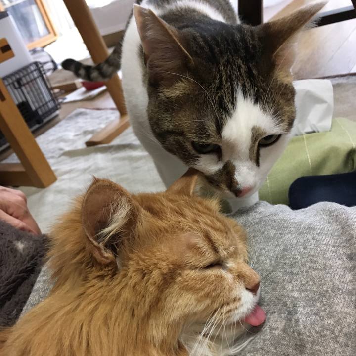 Ff8d364f 2d82 4821 acc1 fbd32243b6b6 1523596572935