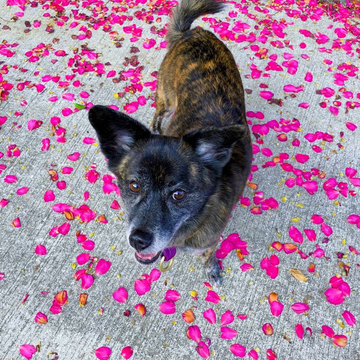 Ff8d3d3f fdf7 48d6 815c ec376040b96f 1606400422064