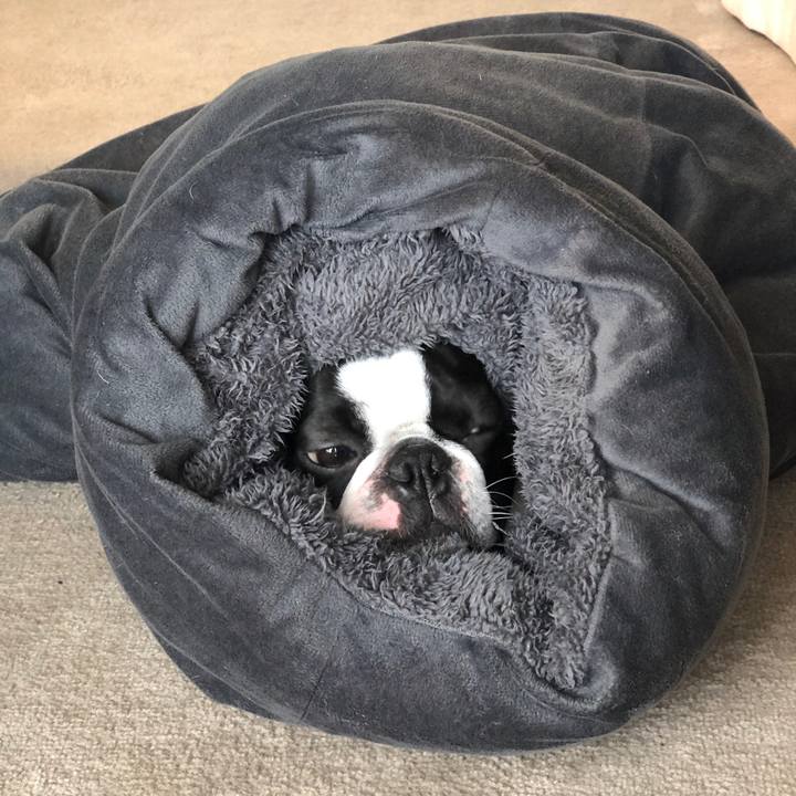 Ff8d9493 228f 4a84 a1ec 8b8f511c34b6 1573605380308