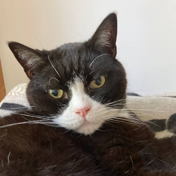 Ff8d9f56 90fd 496a a959 b283cd78ccc3 1628121852578