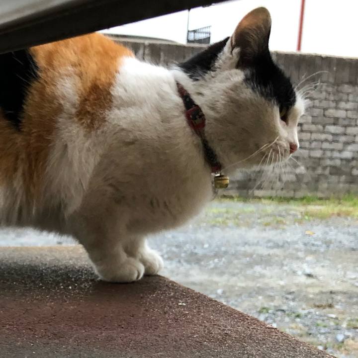 Ff8d9ff3 a66d 494d 9896 bda30812429f 1608157258548