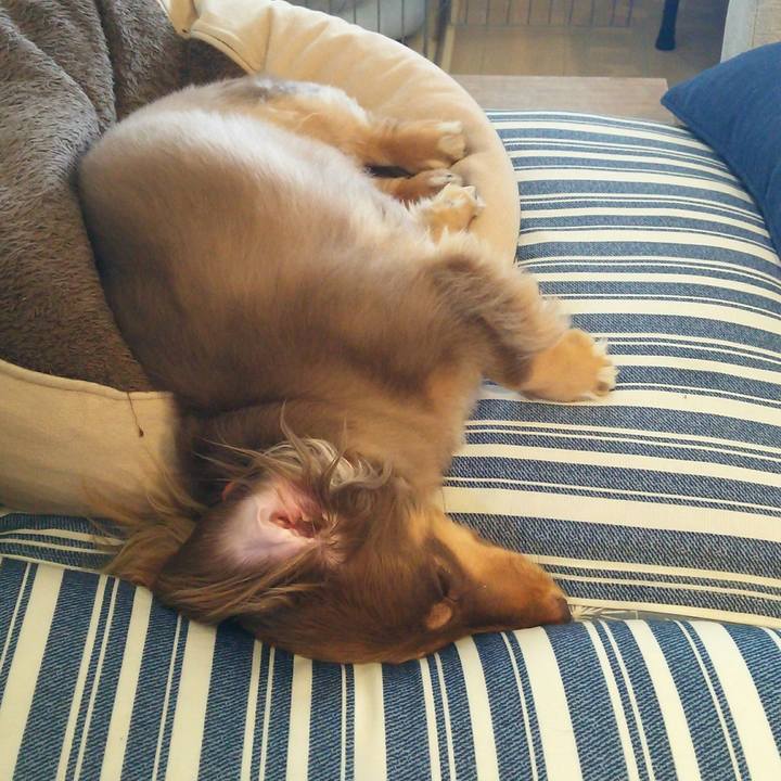 Ff8da8e2 f2e2 4cf4 bf71 f0d817841e0f 1534577622085