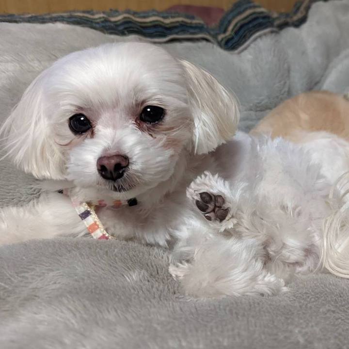 Ff8dbea3 d42a 4b23 b4c5 d5664d658bd5 1643842765244