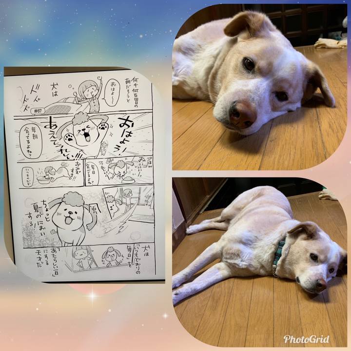 Ff8dcc31 8cf0 46cf 955e 22fcdc024312 1558529223817