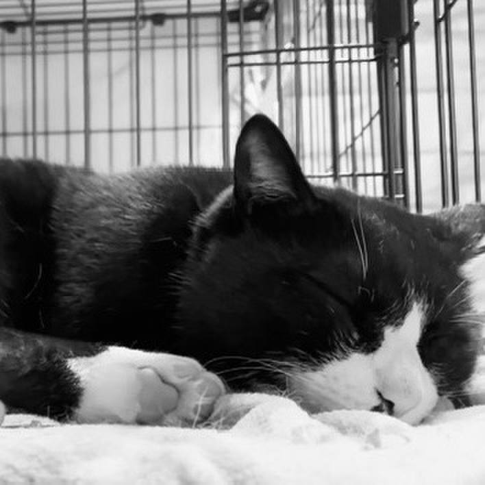 Ff8dd18a 98a0 4308 8933 7be48addfef8 1744364147956