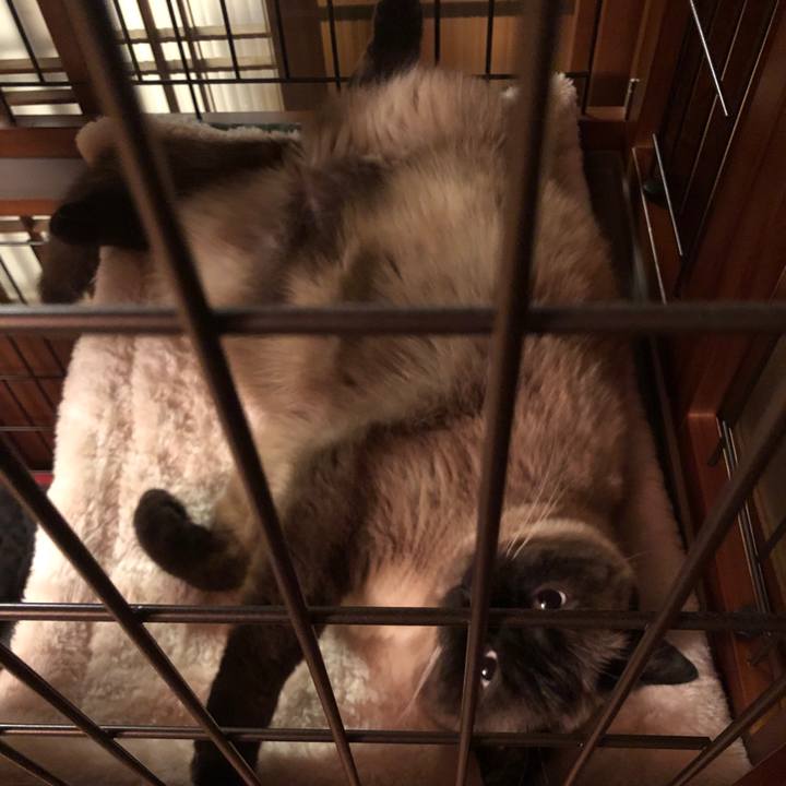 Ff8de392 48ac 479f 9371 3eec4c264532 1623240339142