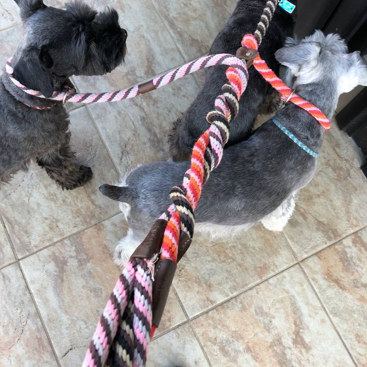 Ff8dfe0a ac5b 4f63 9a52 e6b870418b90 1543626218374