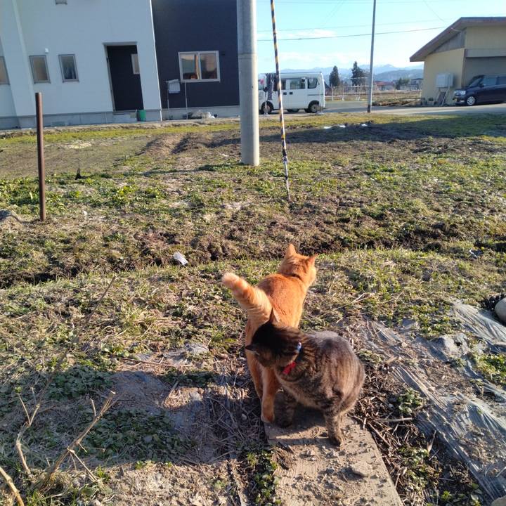 Ff8e17df 0757 4a99 9123 9676313c5a85 1679212435055