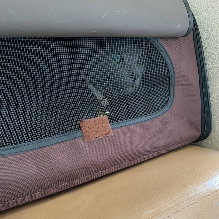 Ff8e3a5f 0a6b 4a44 80e7 6ed436d77fd7 1628993844124