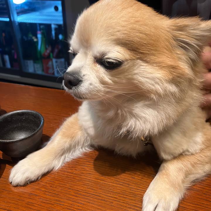 Ff8e5327 2fc4 4cc6 80e2 79542cc53649 1773704947814