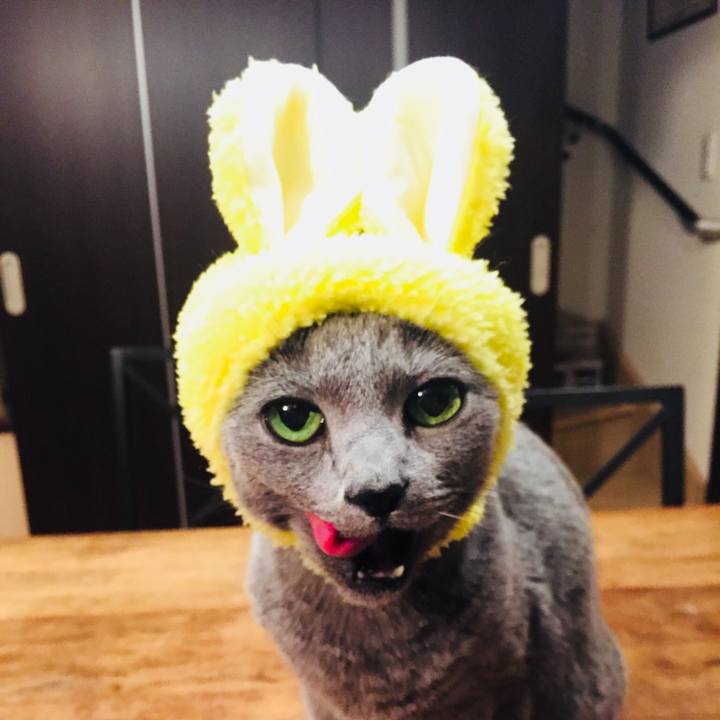 Ff8e82ec 1de0 453f 8c5f 5f2d33413b87 1521859172877