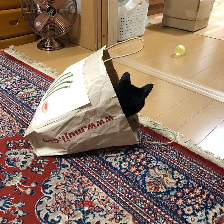 Ff8e9482 ef60 4171 a7ca 8756b0a1dcaa 1535089599115