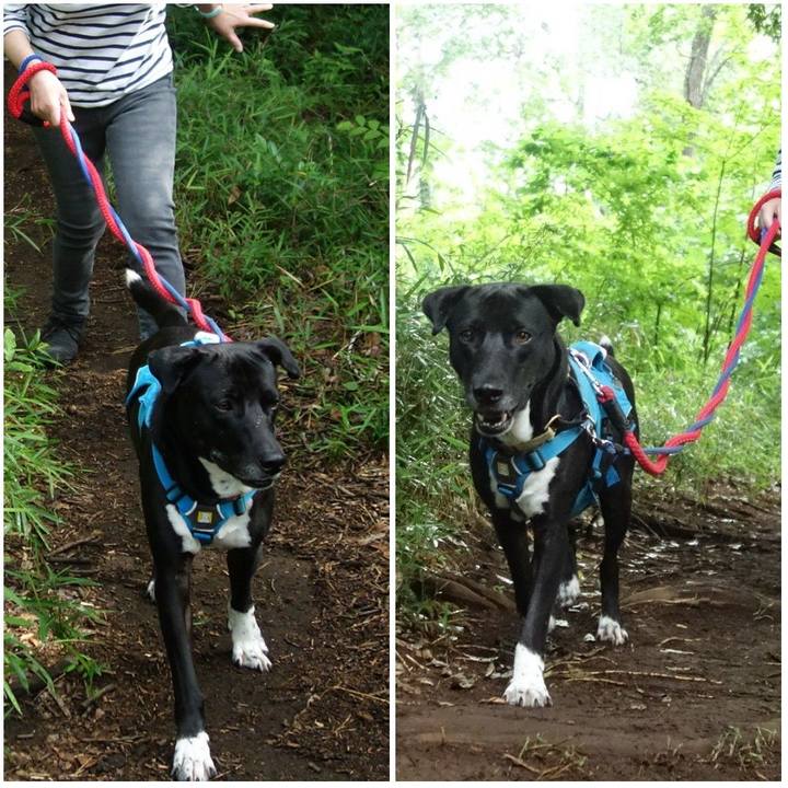 Ff8ea338 856b 4cf9 8ec3 58fa20227e86 1622508404529