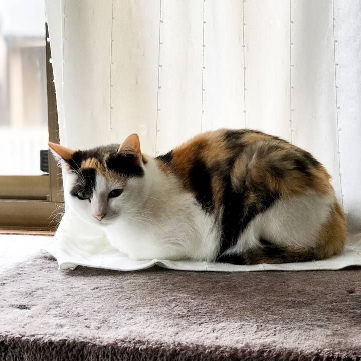 Ff8ead7b 66be 41ac affb 7365e6e18278 1531274990476