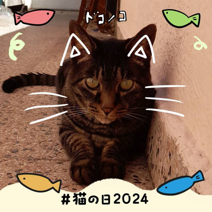 Ff8eb773 96d1 4972 84d3 f146aa30b8cb 1708540270333
