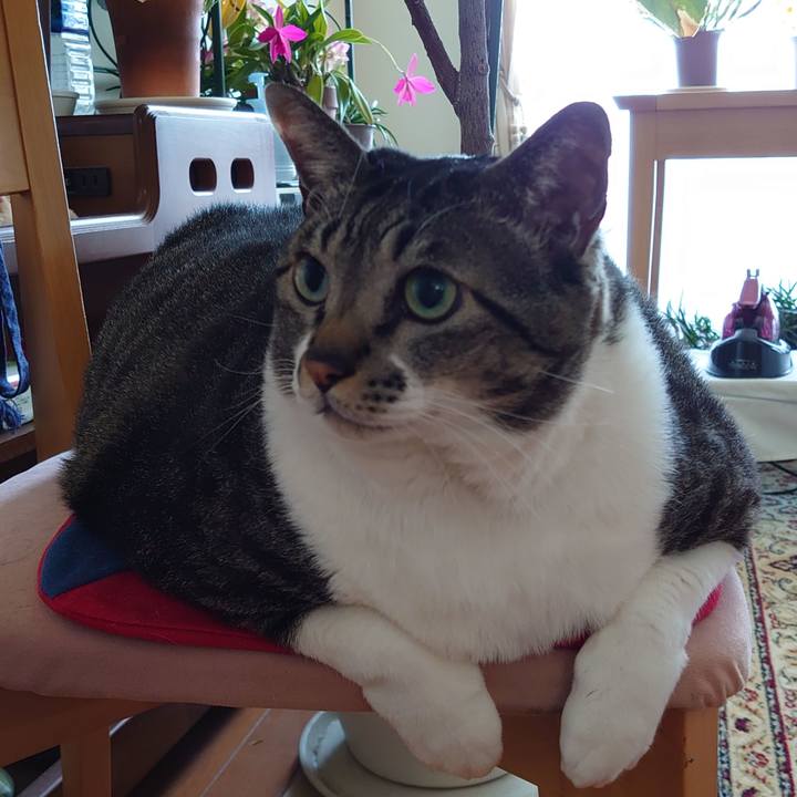 Ff8ecc84 dd2f 4695 987f 250821d33f6d 1611545722269