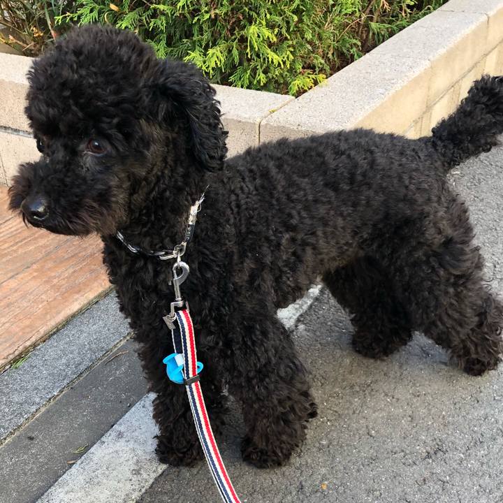 Ff8f402a 3715 41bc b546 1347892b621b 1553209719088