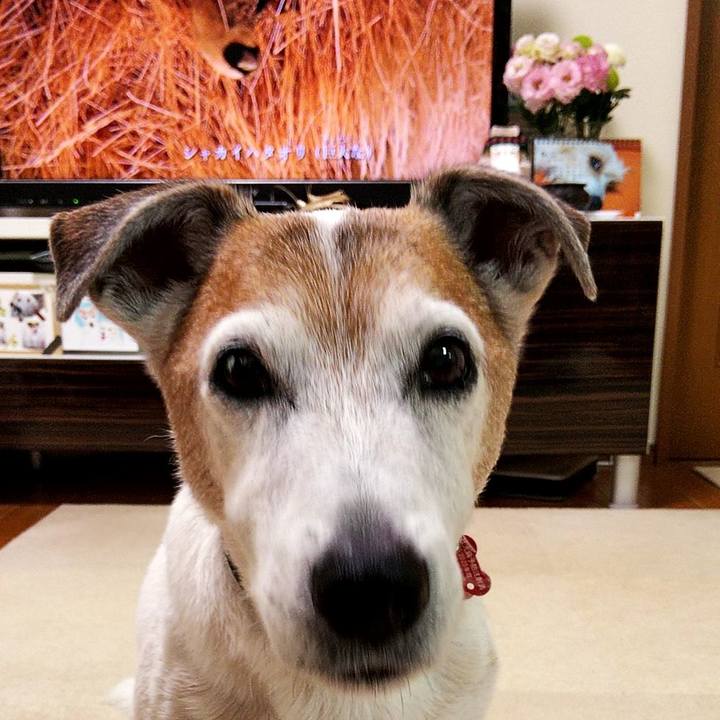 Ff8fa3da 68eb 4c34 97cf 98d4e0a18440 1593986714815