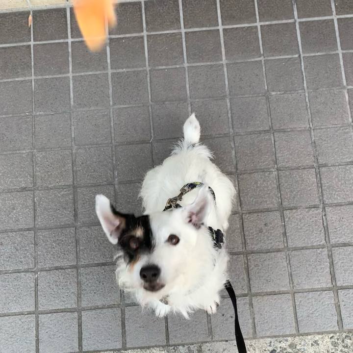 Ff8fbd1c 8eff 4dbe 8b52 12c5e3004126 1715733056089