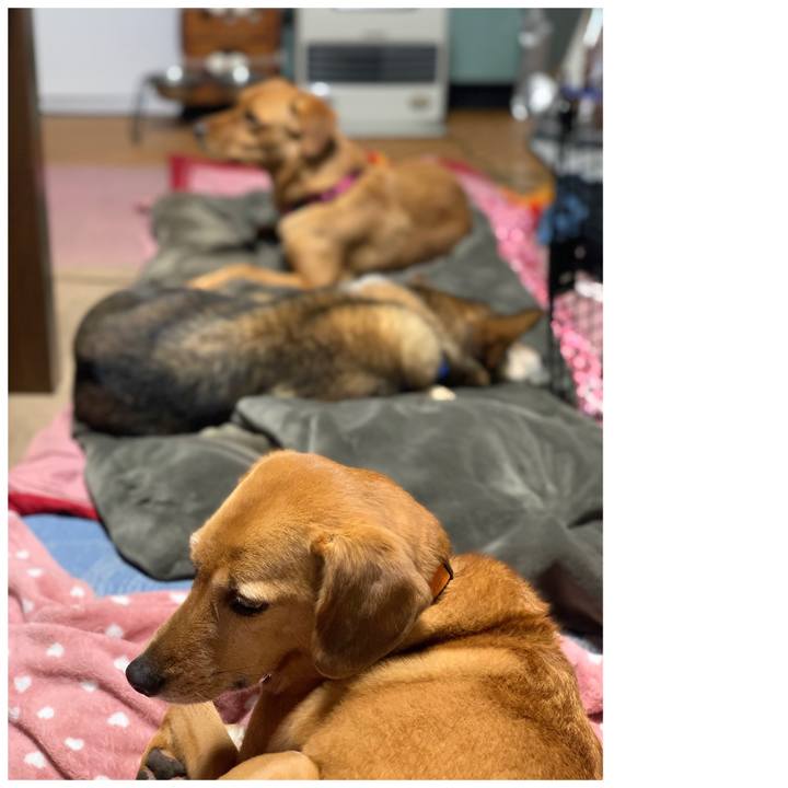 Ff8fdf1f d86d 4172 b237 cbc53a850e7c 1577715115629