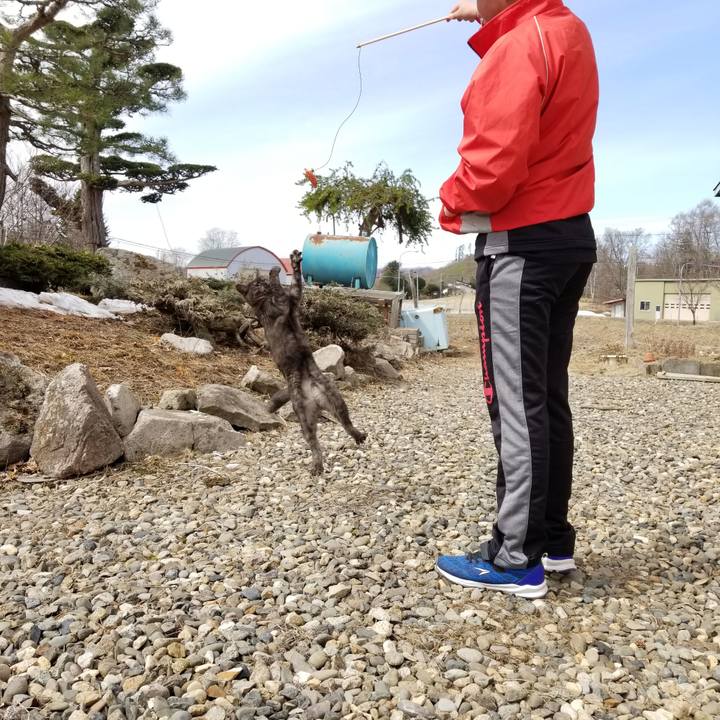 Ff8fe3e5 cc09 40d3 a391 157406c4777c 1587517220815