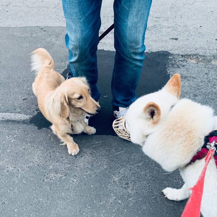 Ff907356 35ee 486a b436 ec9b620e9c31 1595882917499