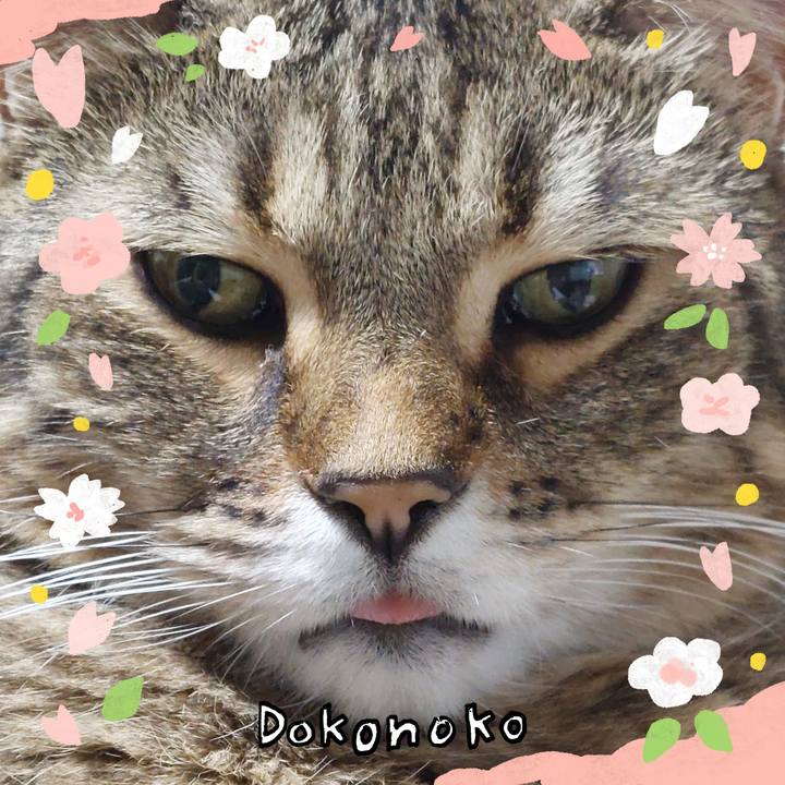 Ff90ac07 f6ab 45ce a963 34c25d5e2b2b 1711405001265