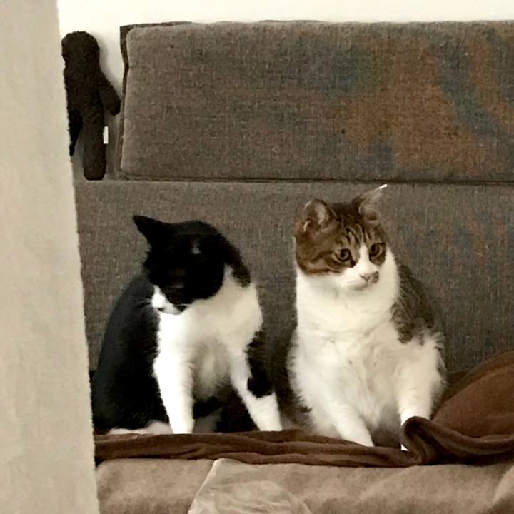 Ff90cdb6 4956 4959 a116 2c89239e22e4 1574848441508