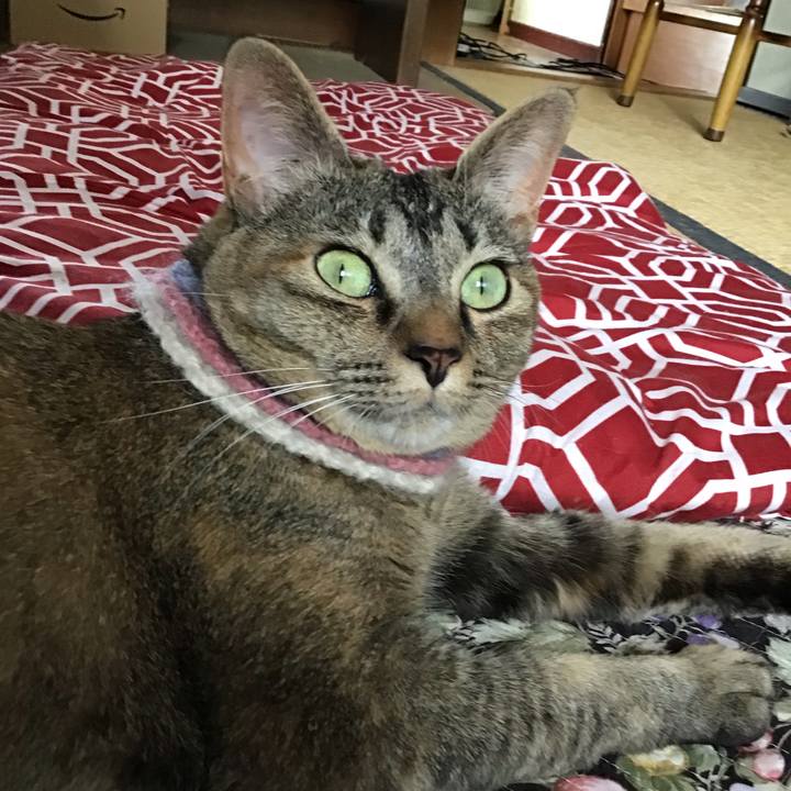 Ff90d0a2 ae31 4dba bd0f 0e88dbe3d60d 1624517085979