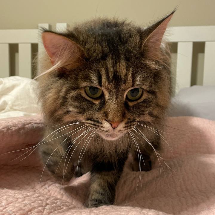 Ff90ded4 6804 4a4a a4d6 010b54e301cd 1684077186112