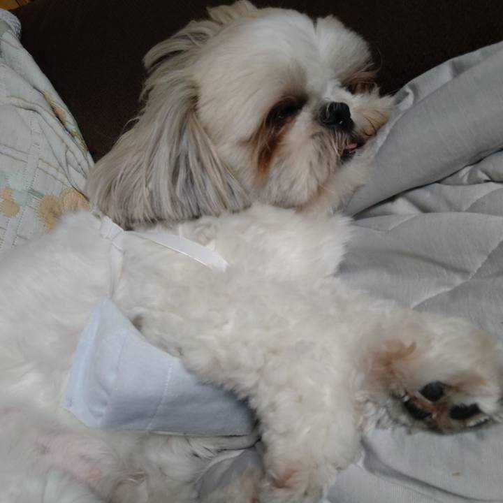 Ff910834 23ca 4ed8 ba7c dadab4e34ccd 1627779113626