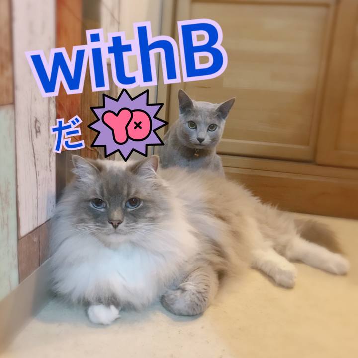 Ff910a9a 2a62 4f84 852b d89f82470055 1521384209624