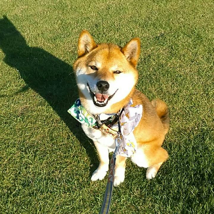 Ff914642 80fd 44e6 8693 b5a4bfb899c3 1560421441778