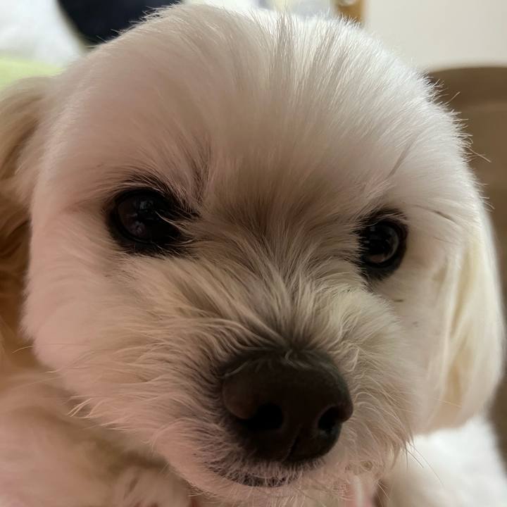 Ff918249 681f 4ab8 be9d 5df8634b55a4 1673613339570