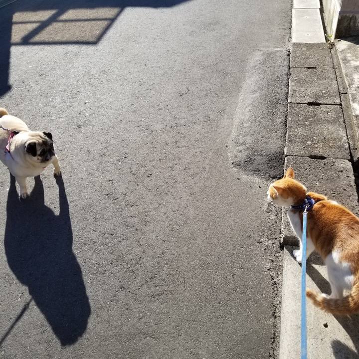 Ff918523 cf7c 442c 931c 79a880d27834 1546494164660